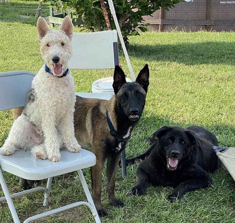 Daycare