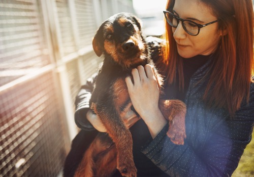 A woman holding her dog before letting him stay at Dog Kennels in Peoria IL