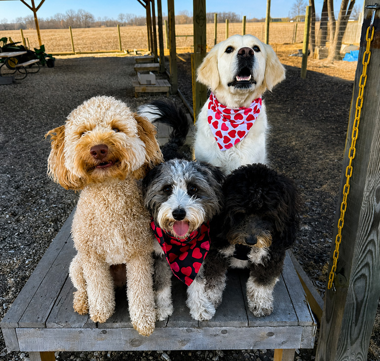 Daycare